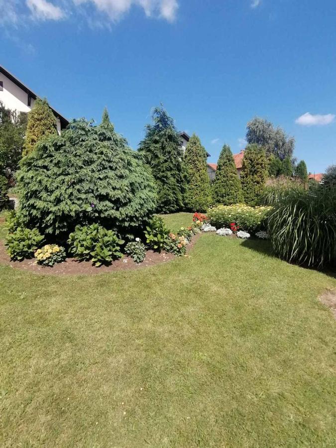 Bozovic Mv Apartments Zlatibor Dış mekan fotoğraf